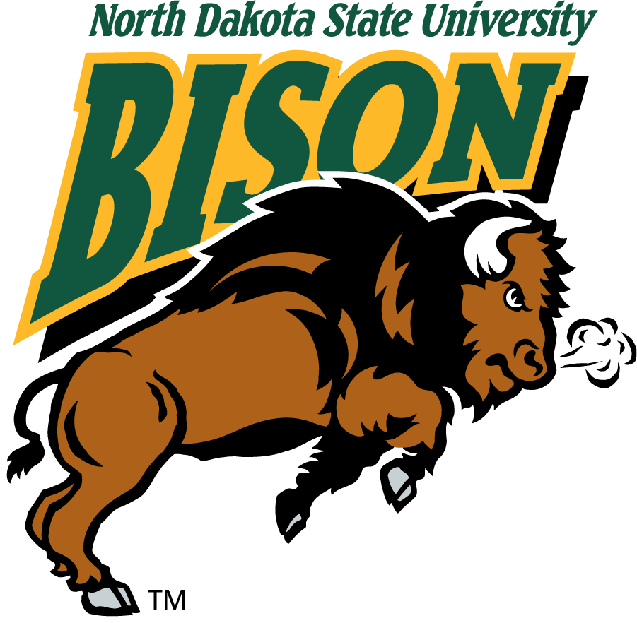 North Dakota State Bison 1999-2012 Alternate Logo v3 DIY iron on transfer (heat transfer)